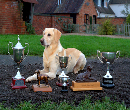 Fred and Trophies